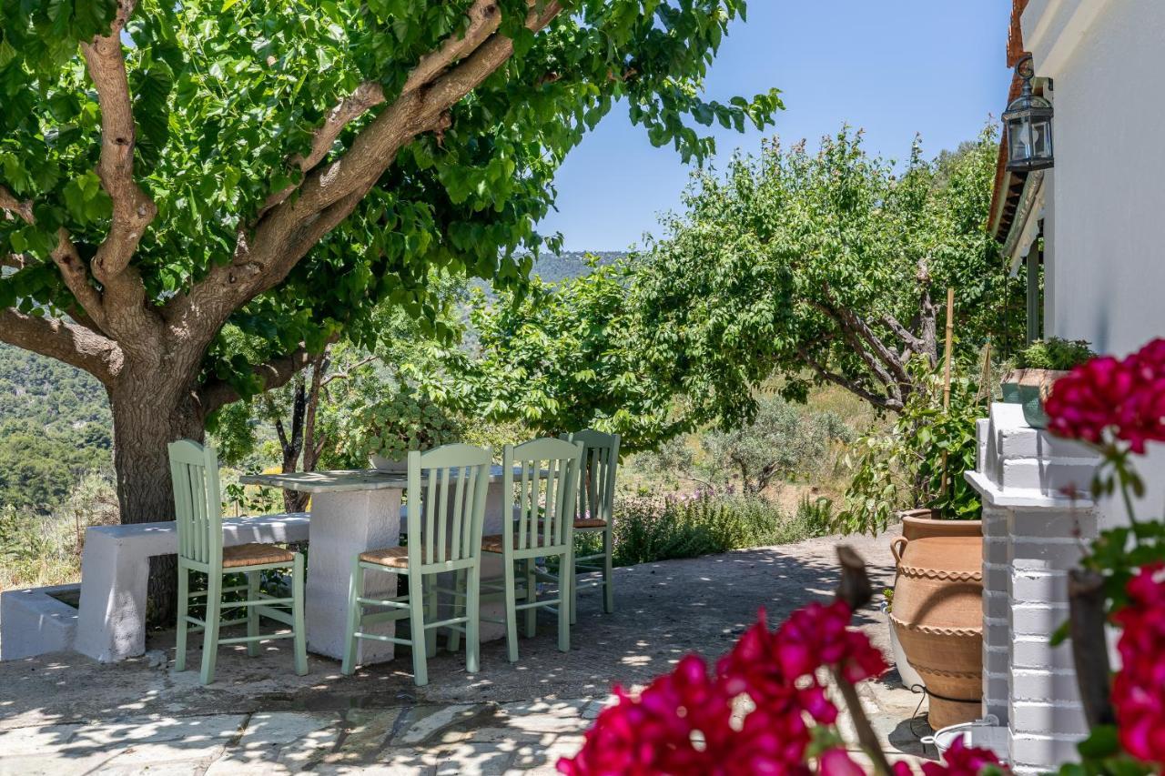 Villa Ambeli Skopelos Town Exterior photo
